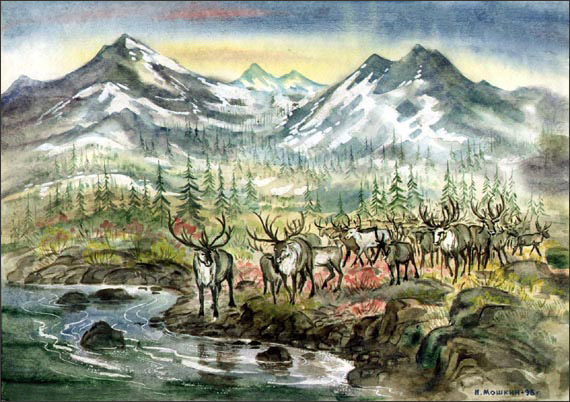 Deers Near The River