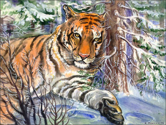 The Tiger Taking The Rest