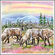 Deers Near The River