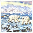 The Fishing Bears