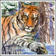 The Tiger Taking The Rest
