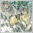 The Wolfes